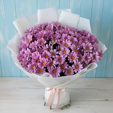 Букет цветов из:  Хризантемы #REPLACE_PRED# Калининграде