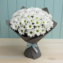 Букет белые хризантемы в Калининграде Букет цветов из:  Хризантемы в Калининграде
