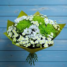 Букет скромность  в Калининграде Букет цветов из:  Хризантемы в Калининграде