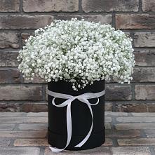 Цветочная композиция из Гипсофила в шляпной коробке #REPLACE_PRED# Калининграде